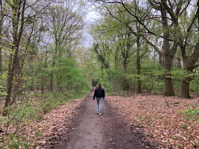 Stacaravan Huren In Het Hart Van Bosrijk Drenthe Op Recreatiepark De Tien Heugten Schoonloo Εξωτερικό φωτογραφία