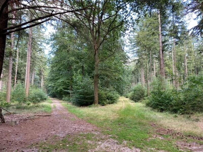 Stacaravan Huren In Het Hart Van Bosrijk Drenthe Op Recreatiepark De Tien Heugten Schoonloo Εξωτερικό φωτογραφία