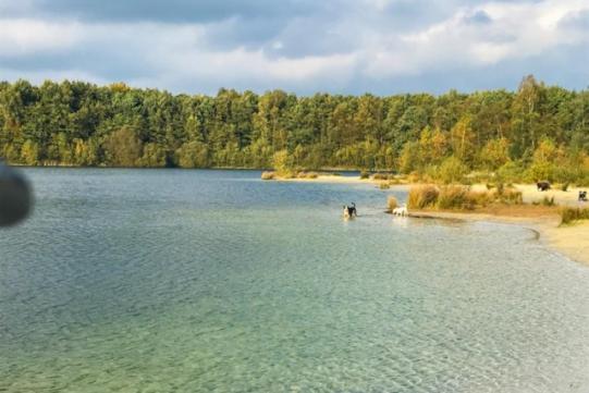 Stacaravan Huren In Het Hart Van Bosrijk Drenthe Op Recreatiepark De Tien Heugten Schoonloo Εξωτερικό φωτογραφία